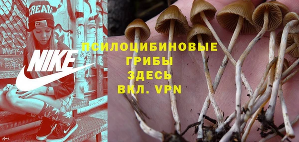спайс Баксан