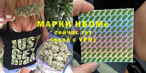 спиды Аркадак