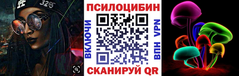 Галлюциногенные грибы Psilocybine cubensis  где найти наркотики  Олонец 
